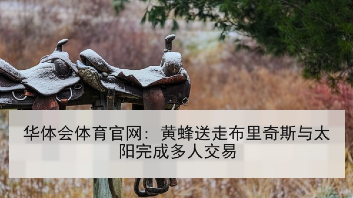 华体会体育官网: 黄蜂送走布里奇斯与太阳完成多人交易