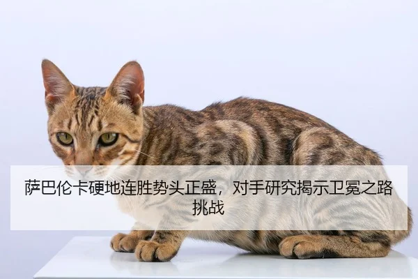 萨巴伦卡硬地连胜势头正盛，对手研究揭示卫冕之路挑战