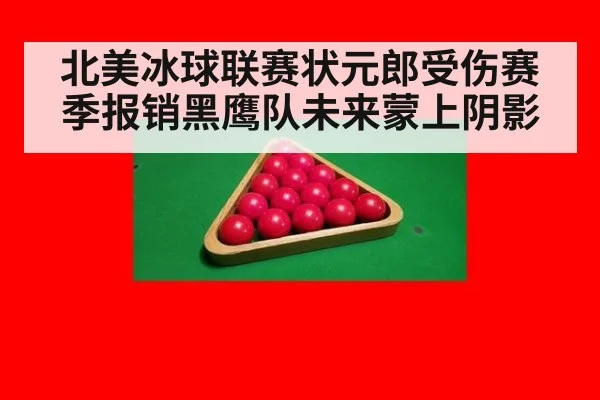 北美冰球联赛状元郎受伤赛季报销黑鹰队未来蒙上阴影